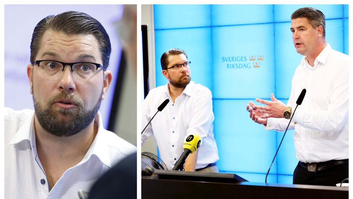 Sverigedemokraterna höll en pressträff angående invandringen.